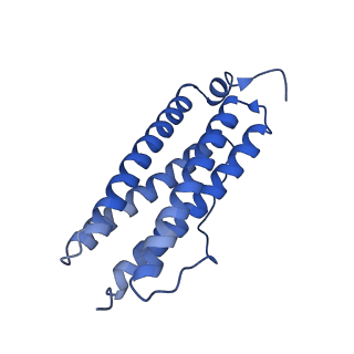 9910_6k3o_C_v1-2
Cryo-EM structure of Apo-bacterioferritin from Streptomyces coelicolor