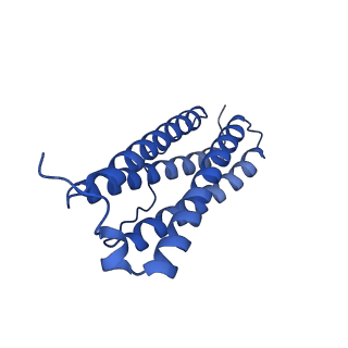 9910_6k3o_D_v1-2
Cryo-EM structure of Apo-bacterioferritin from Streptomyces coelicolor
