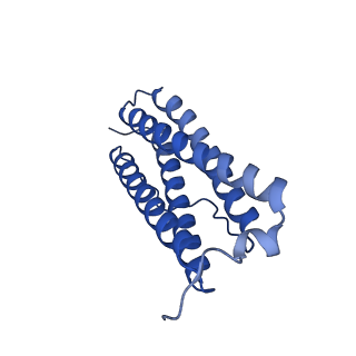 9910_6k3o_E_v1-1
Cryo-EM structure of Apo-bacterioferritin from Streptomyces coelicolor