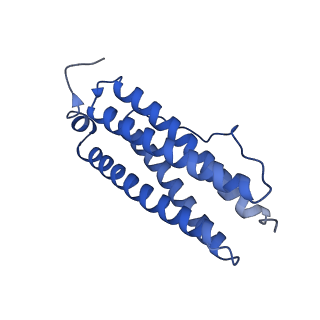 9910_6k3o_F_v1-1
Cryo-EM structure of Apo-bacterioferritin from Streptomyces coelicolor