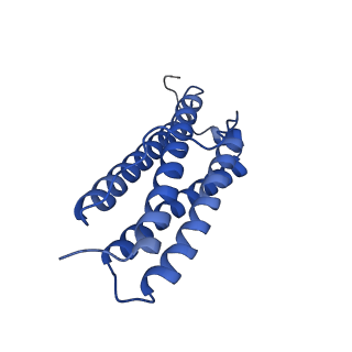 9910_6k3o_G_v1-1
Cryo-EM structure of Apo-bacterioferritin from Streptomyces coelicolor