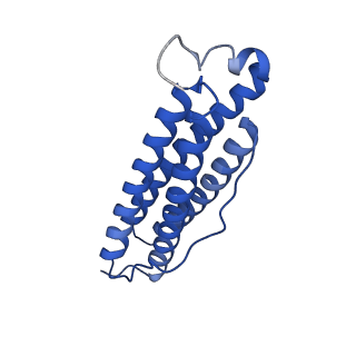 9910_6k3o_H_v1-1
Cryo-EM structure of Apo-bacterioferritin from Streptomyces coelicolor