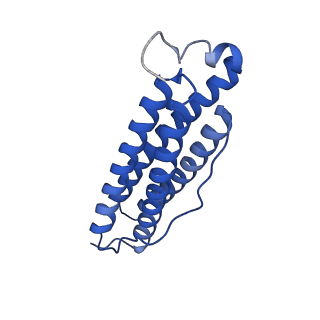 9910_6k3o_H_v1-2
Cryo-EM structure of Apo-bacterioferritin from Streptomyces coelicolor