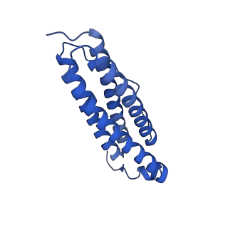 9910_6k3o_I_v1-2
Cryo-EM structure of Apo-bacterioferritin from Streptomyces coelicolor