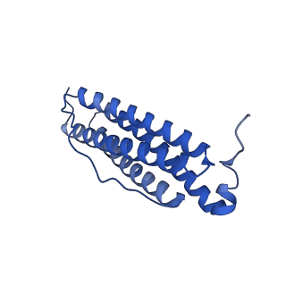 9910_6k3o_J_v1-2
Cryo-EM structure of Apo-bacterioferritin from Streptomyces coelicolor