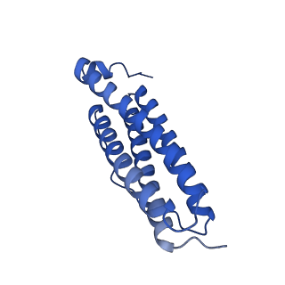 9910_6k3o_K_v1-1
Cryo-EM structure of Apo-bacterioferritin from Streptomyces coelicolor