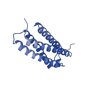 9910_6k3o_L_v1-1
Cryo-EM structure of Apo-bacterioferritin from Streptomyces coelicolor