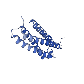 9910_6k3o_L_v1-2
Cryo-EM structure of Apo-bacterioferritin from Streptomyces coelicolor