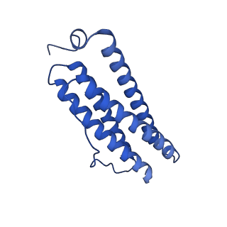 9910_6k3o_M_v1-1
Cryo-EM structure of Apo-bacterioferritin from Streptomyces coelicolor