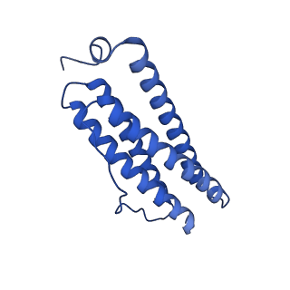 9910_6k3o_M_v1-2
Cryo-EM structure of Apo-bacterioferritin from Streptomyces coelicolor