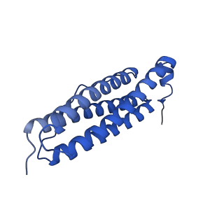 9910_6k3o_O_v1-1
Cryo-EM structure of Apo-bacterioferritin from Streptomyces coelicolor