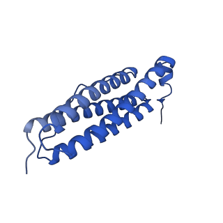 9910_6k3o_O_v1-2
Cryo-EM structure of Apo-bacterioferritin from Streptomyces coelicolor