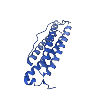 9910_6k3o_P_v1-1
Cryo-EM structure of Apo-bacterioferritin from Streptomyces coelicolor