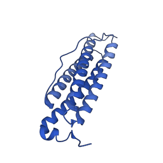 9910_6k3o_P_v1-2
Cryo-EM structure of Apo-bacterioferritin from Streptomyces coelicolor