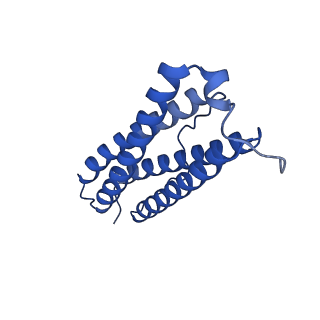 9910_6k3o_Q_v1-2
Cryo-EM structure of Apo-bacterioferritin from Streptomyces coelicolor