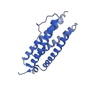 9910_6k3o_R_v1-1
Cryo-EM structure of Apo-bacterioferritin from Streptomyces coelicolor