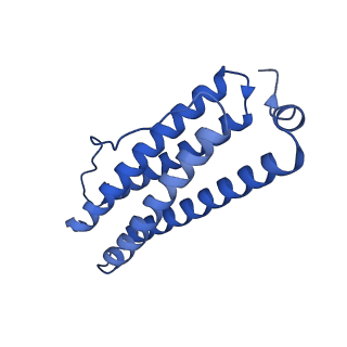 9910_6k3o_T_v1-1
Cryo-EM structure of Apo-bacterioferritin from Streptomyces coelicolor
