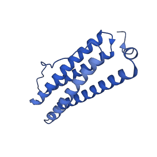 9910_6k3o_T_v1-2
Cryo-EM structure of Apo-bacterioferritin from Streptomyces coelicolor