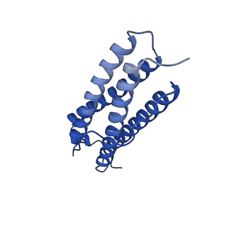 9910_6k3o_U_v1-1
Cryo-EM structure of Apo-bacterioferritin from Streptomyces coelicolor