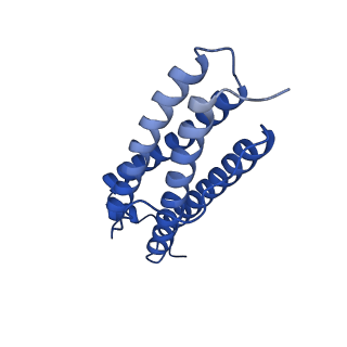 9910_6k3o_U_v1-2
Cryo-EM structure of Apo-bacterioferritin from Streptomyces coelicolor