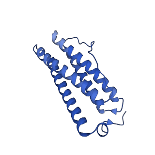 9910_6k3o_V_v1-1
Cryo-EM structure of Apo-bacterioferritin from Streptomyces coelicolor