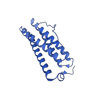 9910_6k3o_V_v1-2
Cryo-EM structure of Apo-bacterioferritin from Streptomyces coelicolor