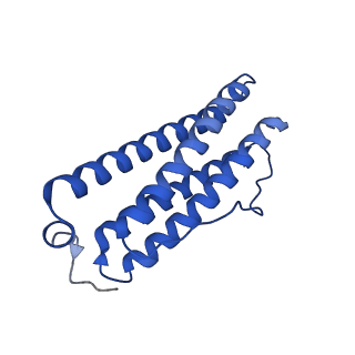 9910_6k3o_X_v1-1
Cryo-EM structure of Apo-bacterioferritin from Streptomyces coelicolor