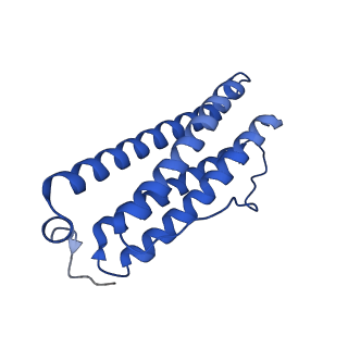 9910_6k3o_X_v1-2
Cryo-EM structure of Apo-bacterioferritin from Streptomyces coelicolor