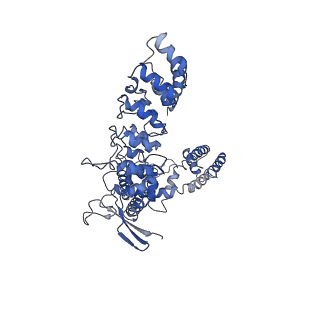 22665_7k4d_A_v1-1
Cryo-EM structure of human TRPV6 in complex with (4- phenylcyclohexyl)piperazine inhibitor 3OG