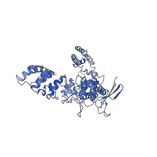 22665_7k4d_B_v1-0
Cryo-EM structure of human TRPV6 in complex with (4- phenylcyclohexyl)piperazine inhibitor 3OG