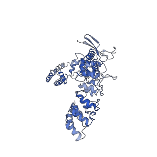 22665_7k4d_C_v1-0
Cryo-EM structure of human TRPV6 in complex with (4- phenylcyclohexyl)piperazine inhibitor 3OG