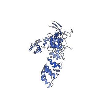 22665_7k4d_C_v1-1
Cryo-EM structure of human TRPV6 in complex with (4- phenylcyclohexyl)piperazine inhibitor 3OG