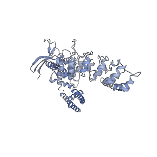 22666_7k4e_D_v1-1
Cryo-EM structure of human TRPV6 in complex with (4- phenylcyclohexyl)piperazine inhibitor 30