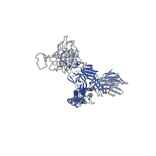 22668_7k4n_A_v1-1
SARS-CoV-2 spike in complex with the S2E12 neutralizing antibody Fab fragment