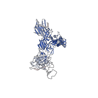 22668_7k4n_B_v1-1
SARS-CoV-2 spike in complex with the S2E12 neutralizing antibody Fab fragment