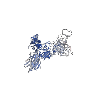 22668_7k4n_E_v1-1
SARS-CoV-2 spike in complex with the S2E12 neutralizing antibody Fab fragment