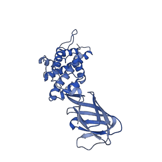 36870_8k42_C_v1-0
Structure of full Banna virus