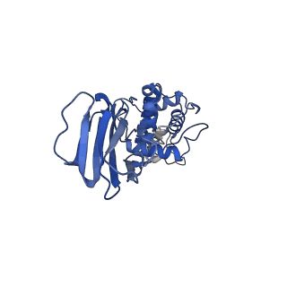 36870_8k42_D_v1-0
Structure of full Banna virus