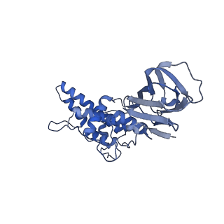 36870_8k42_E_v1-0
Structure of full Banna virus