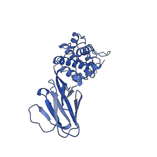 36870_8k42_F_v1-0
Structure of full Banna virus