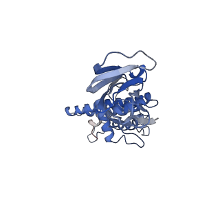 36870_8k42_G_v1-0
Structure of full Banna virus