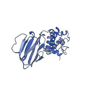 36870_8k42_J_v1-0
Structure of full Banna virus