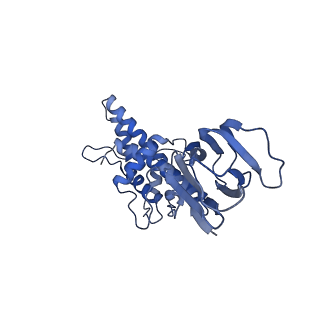 36870_8k42_K_v1-0
Structure of full Banna virus