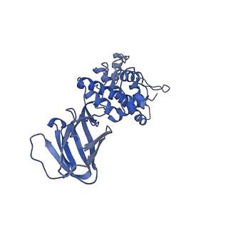 36870_8k42_L_v1-0
Structure of full Banna virus