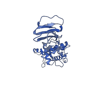 36870_8k42_M_v1-0
Structure of full Banna virus