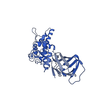 36870_8k42_N_v1-0
Structure of full Banna virus