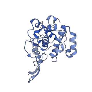 36870_8k42_P_v1-0
Structure of full Banna virus