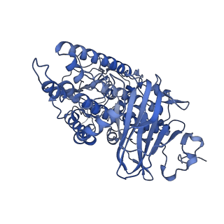 36870_8k42_S_v1-0
Structure of full Banna virus