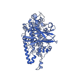 36870_8k42_T_v1-0
Structure of full Banna virus