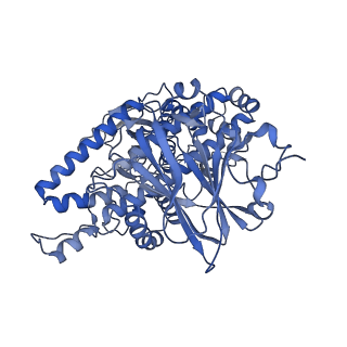 36870_8k42_U_v1-0
Structure of full Banna virus